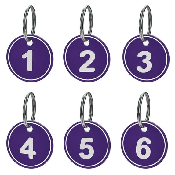 Aspire ABS Number ID Tags Keychains, Numbered Key Rings, Metal Key Tag Set, Pack of 50, Purple 1 to 50