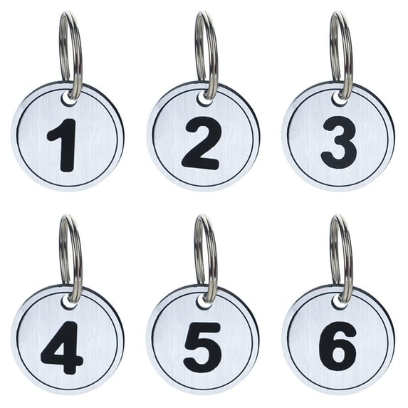 Aspire ABS Number ID Tags Keychains, Numbered Key Rings, Metal Key Tag Set, Pack of 50, Silver 1 to 50