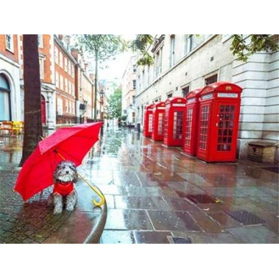 Assaf Frank Photography PDXAF20150916003SMALL Dog with Umbrella On London City Street Poster Print by Assaf Frank, 11 x 14 - Small