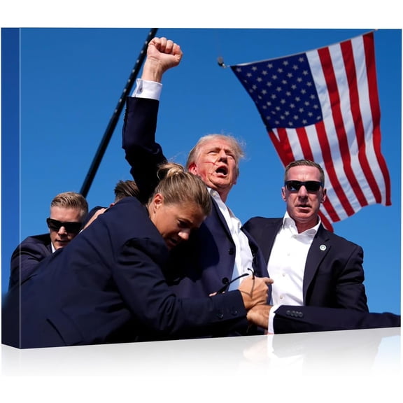 Assassination Attempt Fight Picture on Stretched Canvas Wall Art, “Keep Fighting Fist Pump”, Ready to Hang! 8x10 inch