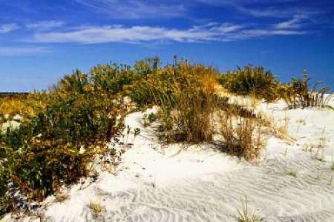 Assateague Beach I Canvas Art - Alan Hausenflock (20 x 28)