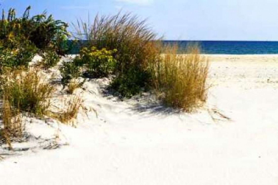Assateague Beach VII Canvas Art - Alan Hausenflock (20 x 28)