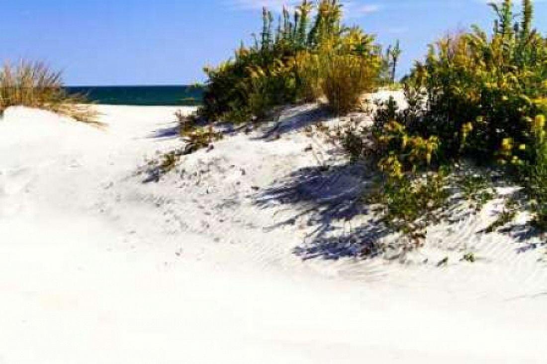 Assateague Beach VIII Canvas Art - Alan Hausenflock (20 x 28)