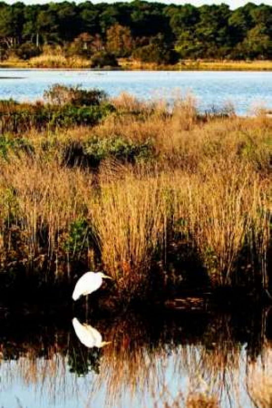 Assateague Island I Canvas Art - Alan Hausenflock (20 x 28)