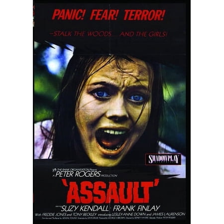 Assault [DIGITAL VIDEO DISC] Full Frame, Mono Sound, Dolby, NTSC Format