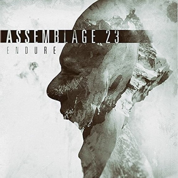 Assemblage 23 - Endure - Rock - CD
