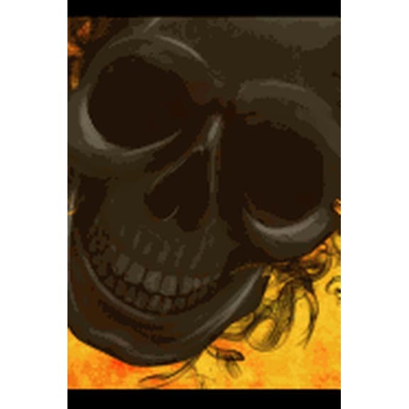 Assignment Book: Skulls (Paperback)