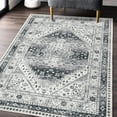 thumbnail image 1 of Assile Area Rug 5' x 7' Vintage Washable Rug Oriental Floral Rug for Dining Room Dorm, Gray, 1 of 6