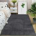 Assile Indoor Plush Shaggy 6' x 9' Area Rugs for Bedroom Fluffy Area