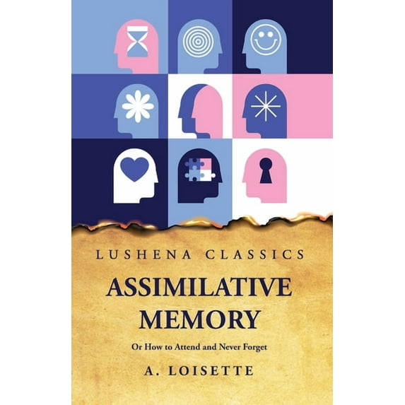 Assimilative Memory Or How to Attend and Never Forget (Paperback)