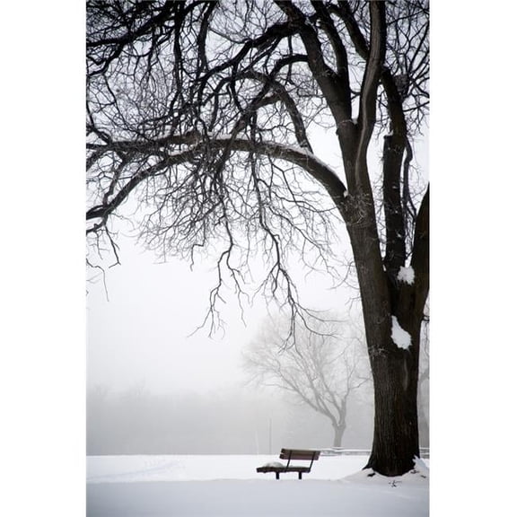 Assiniboine Park  Winnipeg  Manitoba  Canada; Bare Tree And Park Bench In Winter Poster Print
