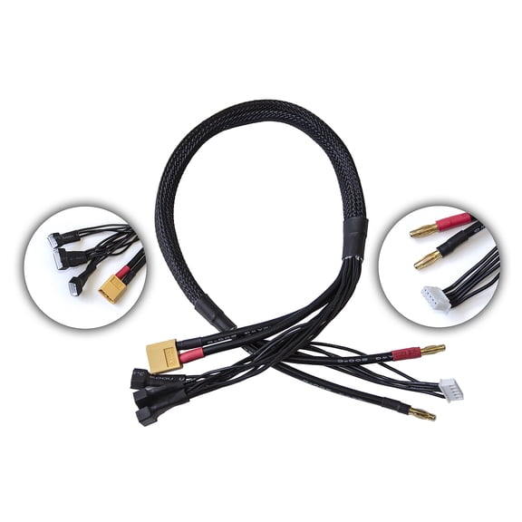 Associated 27237 Reedy 2s-4s Xt60 Pro Charge Lead