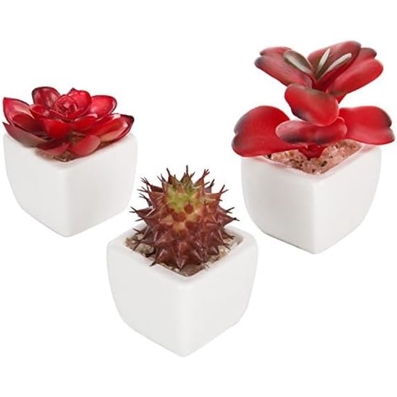 Assorted Artificial Red Succulent Plants, Mini Fake Desert Plants in White Square Pots, Set of 3