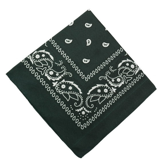 Assorted Bandanas Cotton Novelty Double Sided Print Paisley Cowboy Bandana Party Favor Scarf Headband Handkerchiefs