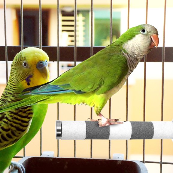 Assorted Color Parakeet Perch Stand Sturdy Bird Cage Mount Rod for Exercising and Entertaining Pets