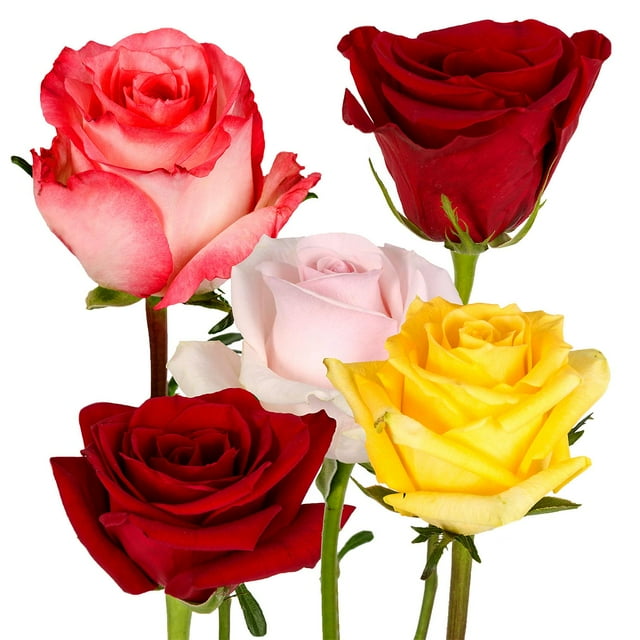 Assorted Colors - Roses - Farm Direct Fresh Cut Flowers - 125 Stems ...