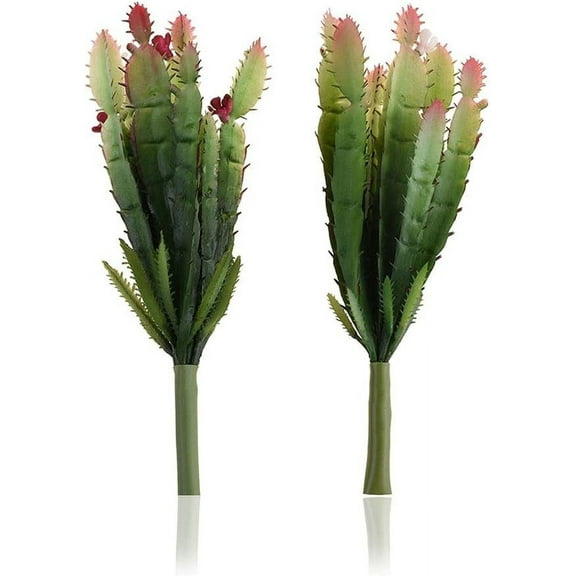 Assorted Fake Cactuses, Lifelike Plant Modelling for Terrarium Decor, Simulation Plastic Cactus Artificial Succulent Plants for Home, Office, Party Decorations (2PCS)