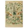 thumbnail image 1 of Assorted Flowers, B, Vintage Bookplate, Adolphe Millot Artwork Birch Wood Wall Sign (6x9 Rustic Home Decor, Ready to Hang Art), 1 of 5