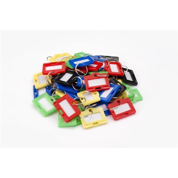 Assorted Key Tags - Multicolor - Pack of 50 - Color-Coded for Easy Identification