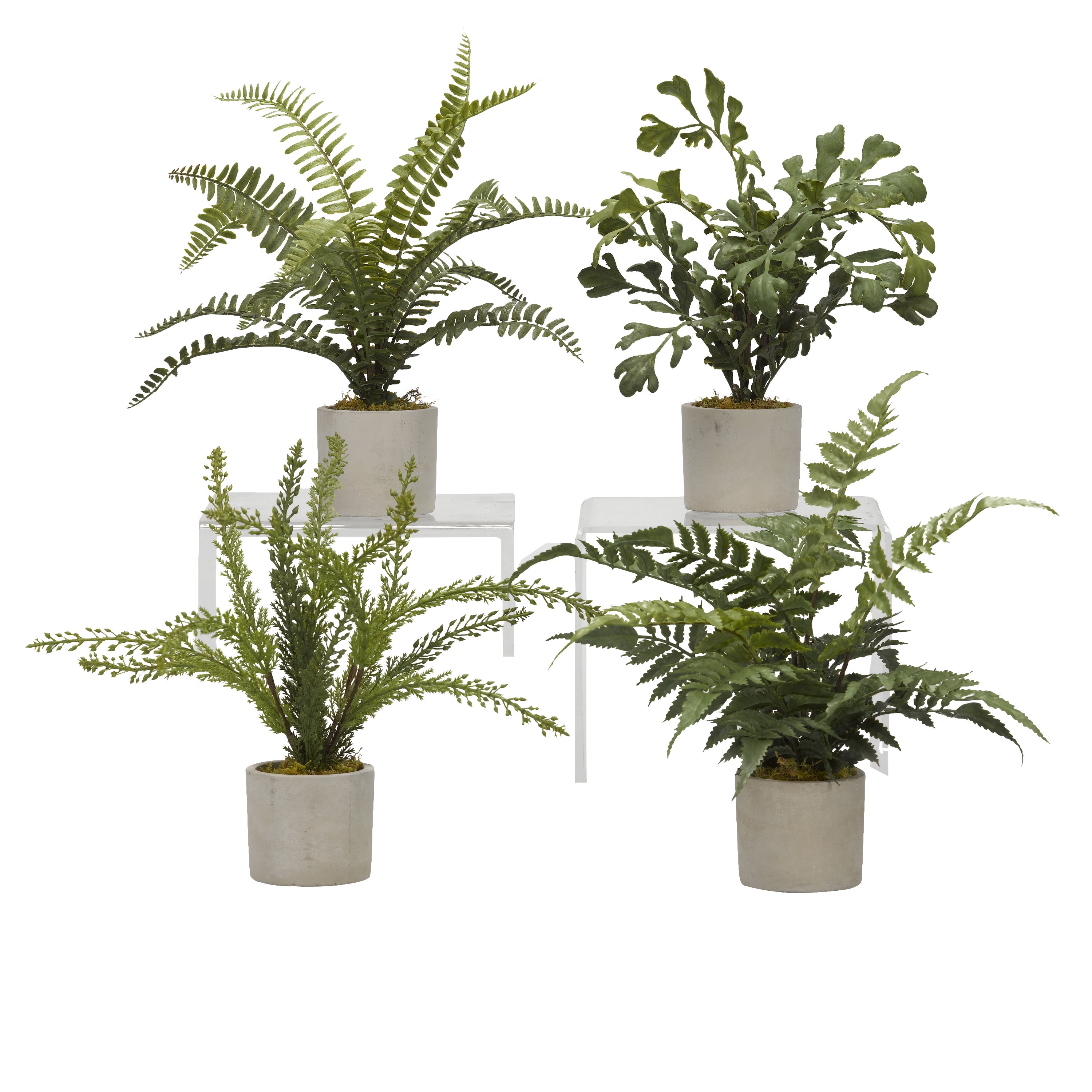 Assorted Green Faux Ferns in Cement Pots - Set of 4