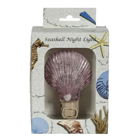 Assorted Pecten Nobilis Boxed LED Night Light