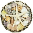 thumbnail image 1 of Assorted Seashells in Round Botay Pack & White Star 6", 1 of 1