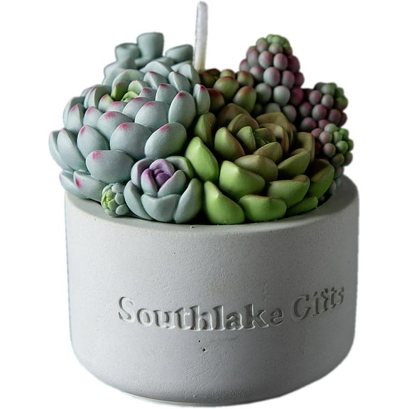 Assorted Succulent Pot Scented Candle for Spa Home Decoration Wedding Gift