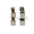 thumbnail image 1 of Assorted Succulents in Mini Cement Cylinders - Set of 4, 1 of 2