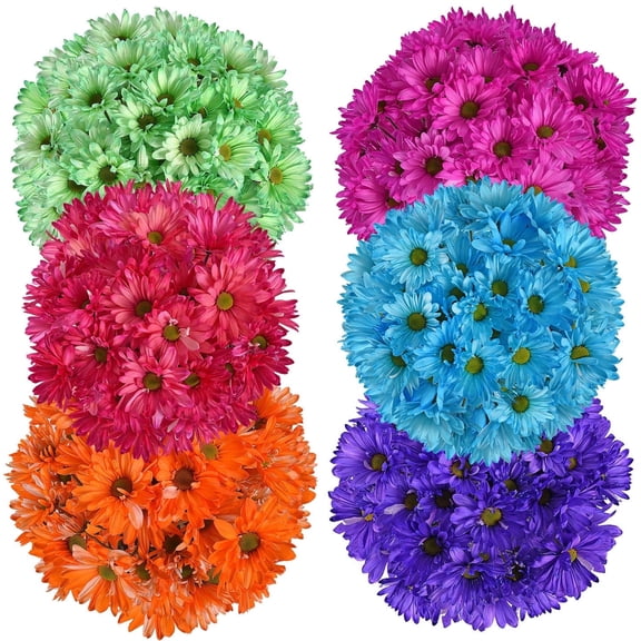 Bloomingmore, Fresh Cut Flowers, Assorted Tinted Crazy Daisies - 60 Stems