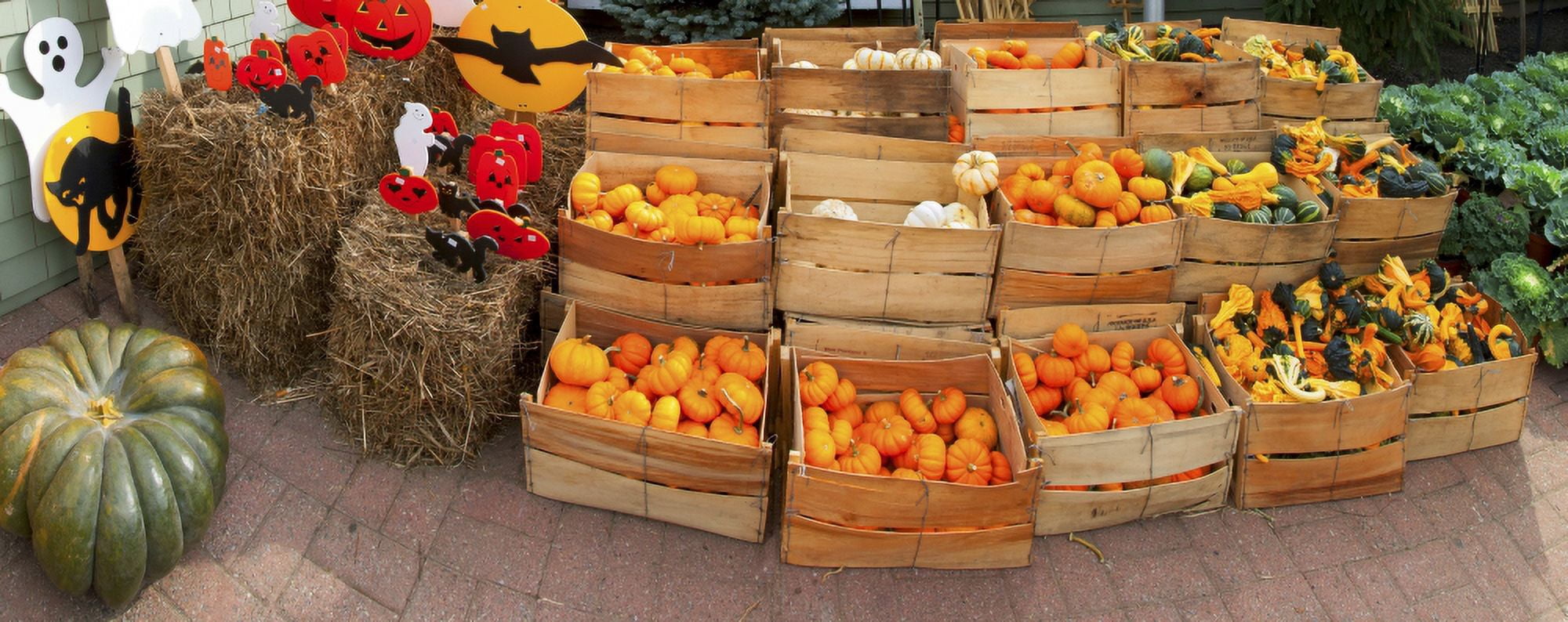 Assorted gourds and small pumpkins at farm stand Route 34 Colts Neck Township Monmouth County New Jersey USA Canvas Art - Panoramic Images (36 x 12)