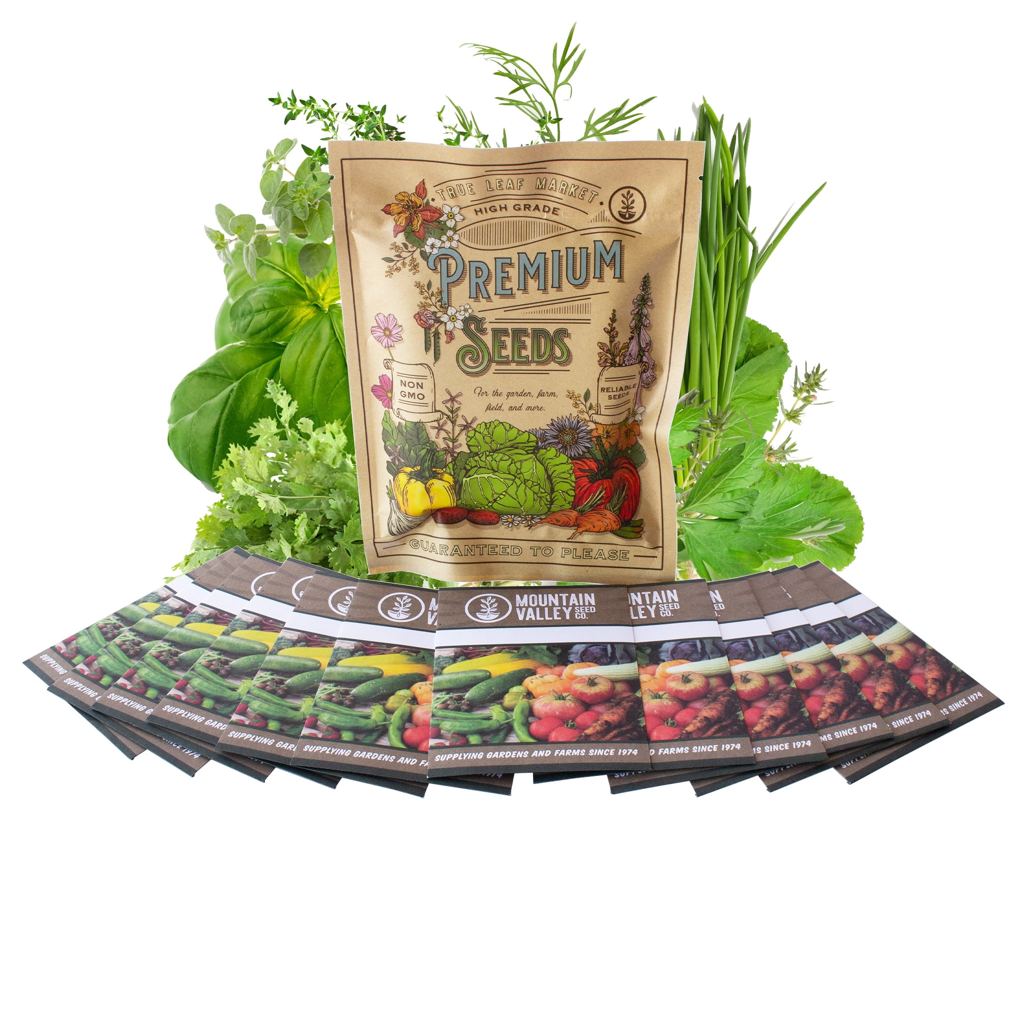 Assortment of 12 Culinary Herb Seeds - Grow Cooking Herbs- Parsley, Thyme, Cilantro, Basil, Dill, Oregano, Sage, More