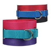 Asst Color Bulk Martingale Dog Collars Shelter Rescue Litter Pick Size/Quantity 10 - 16 Inch 50 Collars