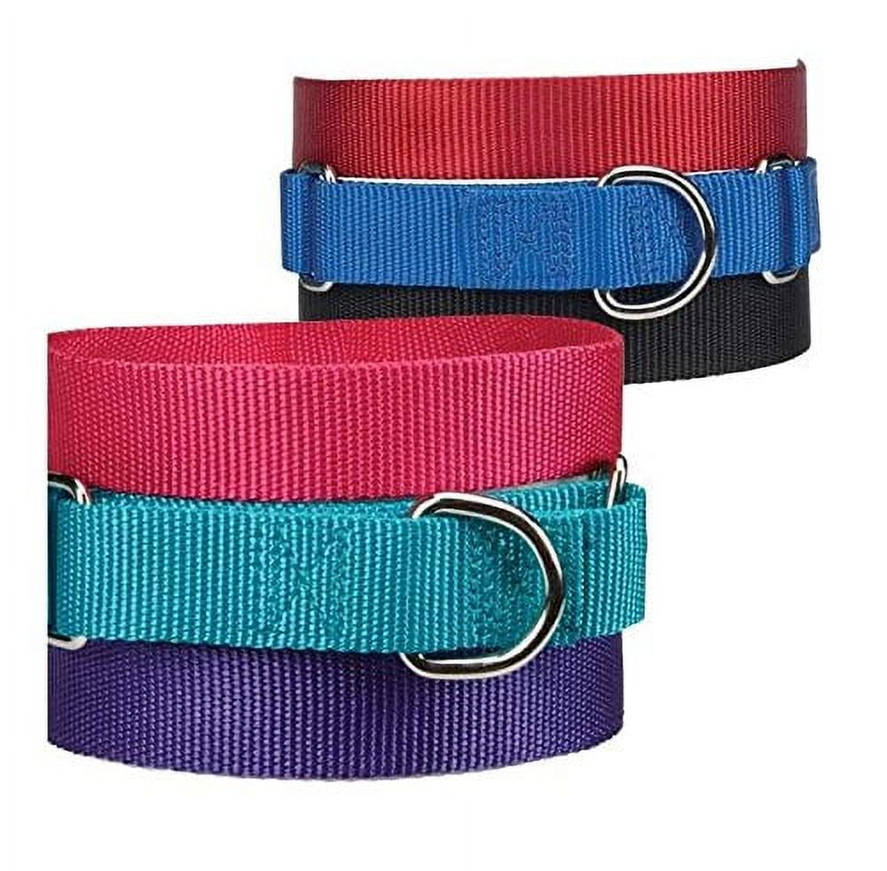 Asst Color Bulk Martingale Dog Collars Shelter Rescue Litter Pick Size/Quantity (10 - 16 Inch Collars)
