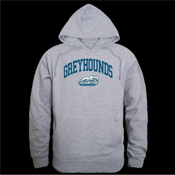 Assumption University Greyhounds Campus Hoodie, Heather Grey - Large