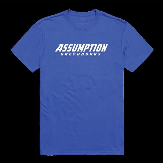 Assumption University Greyhounds Institutional T-Shirt, Royal - Medium