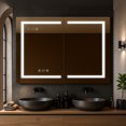 thumbnail image 1 of Blossom Asta 48" LED Medicine Cabinet | Aluminum Frame | Adjustable Shelves| Defogger | Smart Memory, 1 of 9