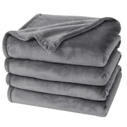 Astarin Gray Fleece Throw Blanket for Couch - Lightweight Plush Fuzzy Cozy Soft Blankets and Throws for Sofa, 60x80 inches