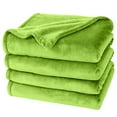 thumbnail image 1 of Astarin Green Fleece Twin Size Blanket for Couch&Bed - Lightweight Soft & Warm Plush Fuzzy Cozy Blankets for Fall Winter Spring,60x80 inches, 1 of 8