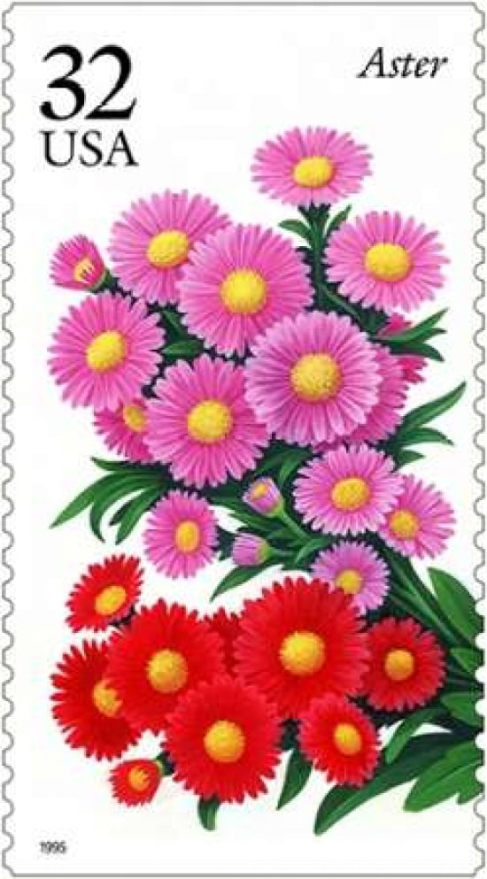 Aster Canvas Art - US POSTAL SERVICE (24 x 36)