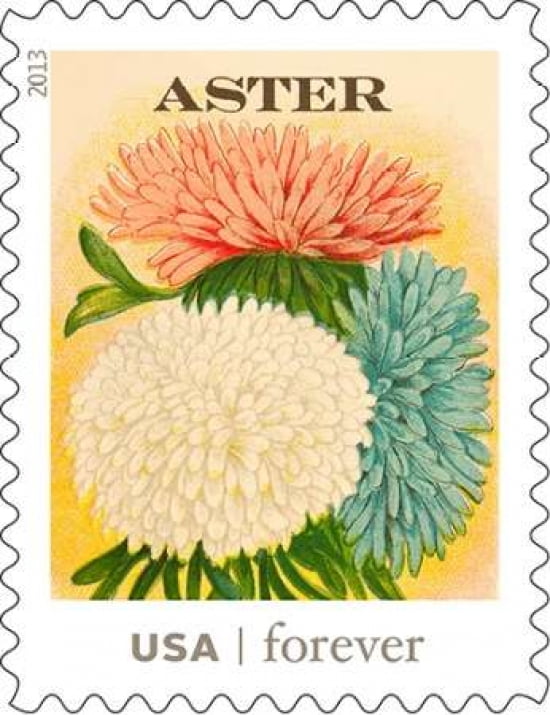 Aster Forever Canvas Art - US POSTAL SERVICE (22 x 28)
