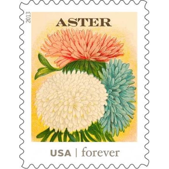 Aster Forever Canvas Art - US POSTAL SERVICE (22 x 28)