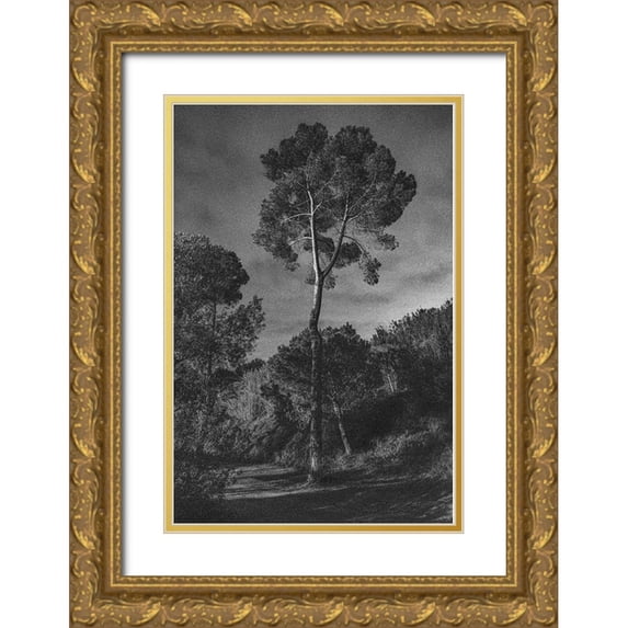 Aston, Pepa 17x24 Gold Ornate Wood Framed with Double Matting Museum Art Print Titled - Arbores