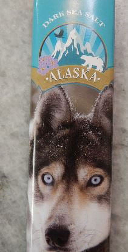 Astor Chocolate Dark Chocolate Sea Salt Bar 2oz