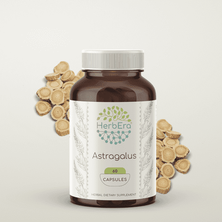 HerbEra Astragalus Capsules, Herbal Dietary Supplement for Immune Support, Astragalus (Astragalus Membranaceus) Dried Root Capsules, Natural, 60 Capsules