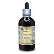 Astragalus Dry Root Absolutely Natural Expertly Extracted by Trusted HerbalTerra Brand Certified Organic Alcohol-Based Liquid Extract. Proudly made in USA. Tincture 4 Fl.Oz