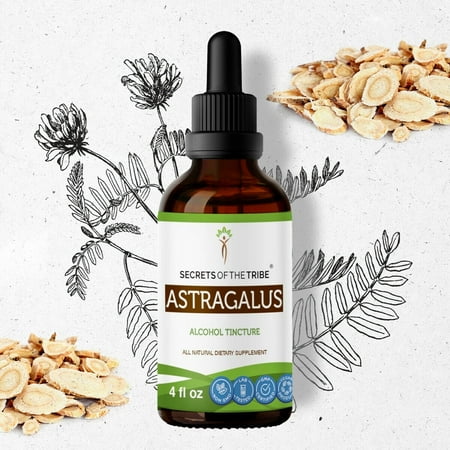 Secrets Of The Tribe Astragalus Tincture Dietary Supplement, Natural Herbal Extract for Immune Support, Astragalus (Astragalus membranaceus) Dried Root, Alcohol Extract, Drops 4 oz