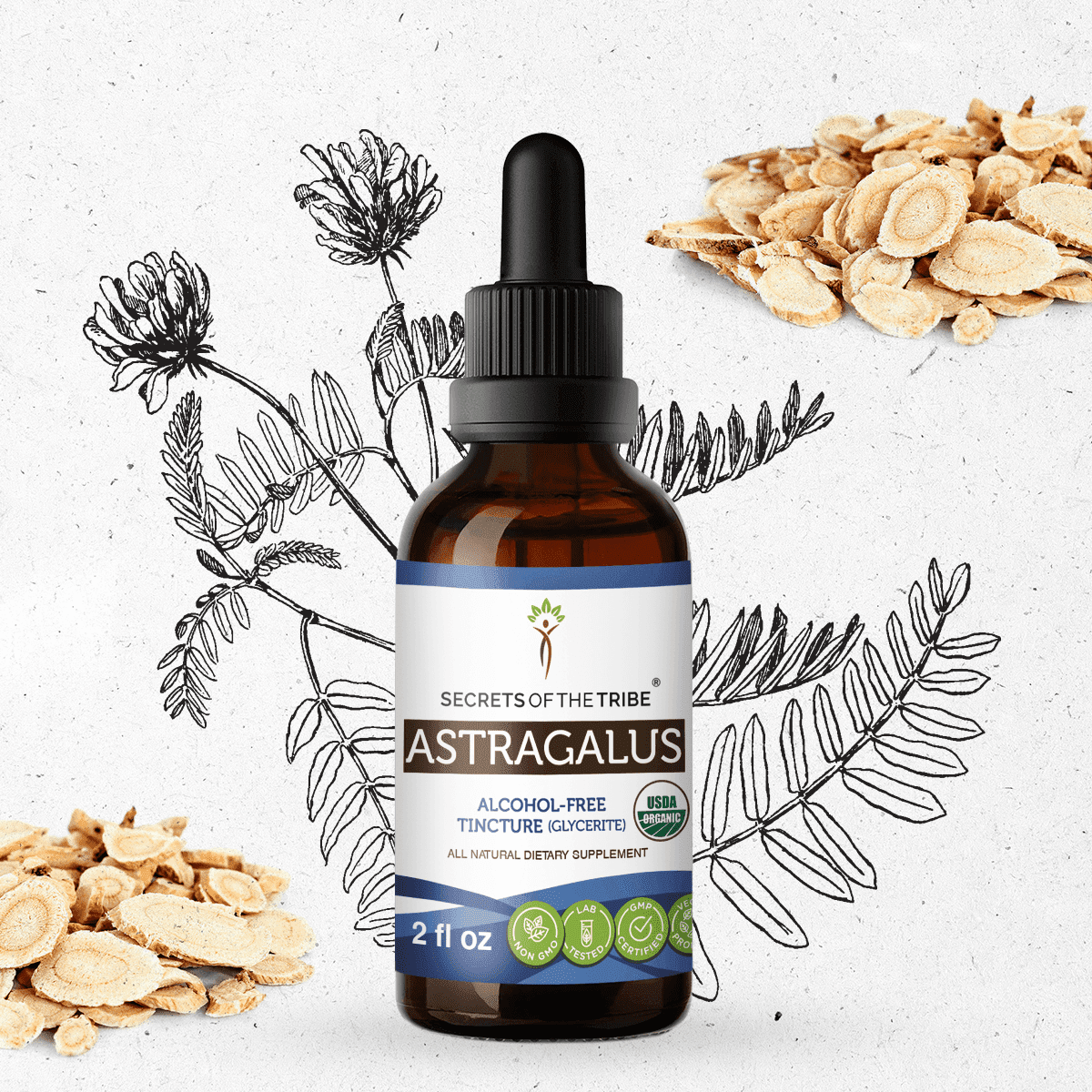Secrets Of The Tribe Astragalus Organic Dietary Supplement, Natural Herbal Tincture for Immune Support, Certified Organic Astragalus (Astragalus membranaceus) Dried Root, Alcohol-Free Extract, 2 oz