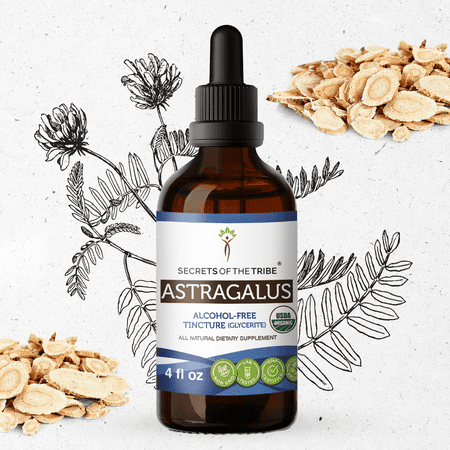 Secrets Of The Tribe Astragalus Organic Dietary Supplement, Natural Herbal Tincture for Immune Support, Certified Organic Astragalus (Astragalus membranaceus) Dried Root, Alcohol-Free Extract, 4 oz