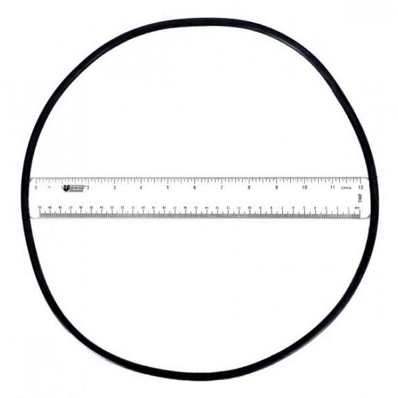 Astral 4404210302 O-Ring for Filter Tank