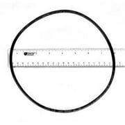 Astralpool AST773R1920050 غطاء O-Ring لـ F-11465